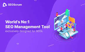 seo management software