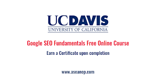 google seo course